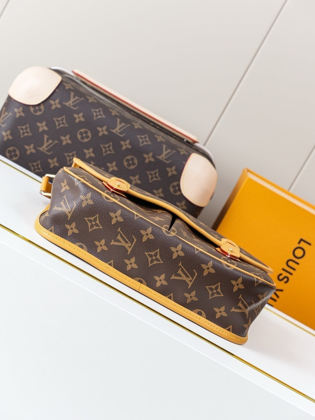 BORSA LOUIS VUITTON - LUXURY