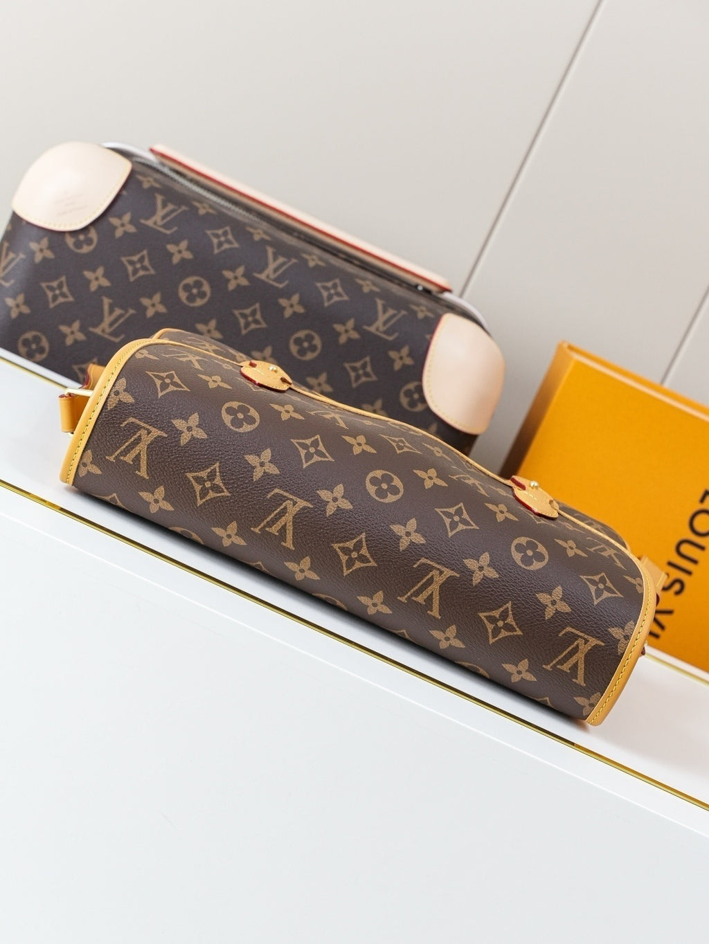 BORSA LOUIS VUITTON - LUXURY