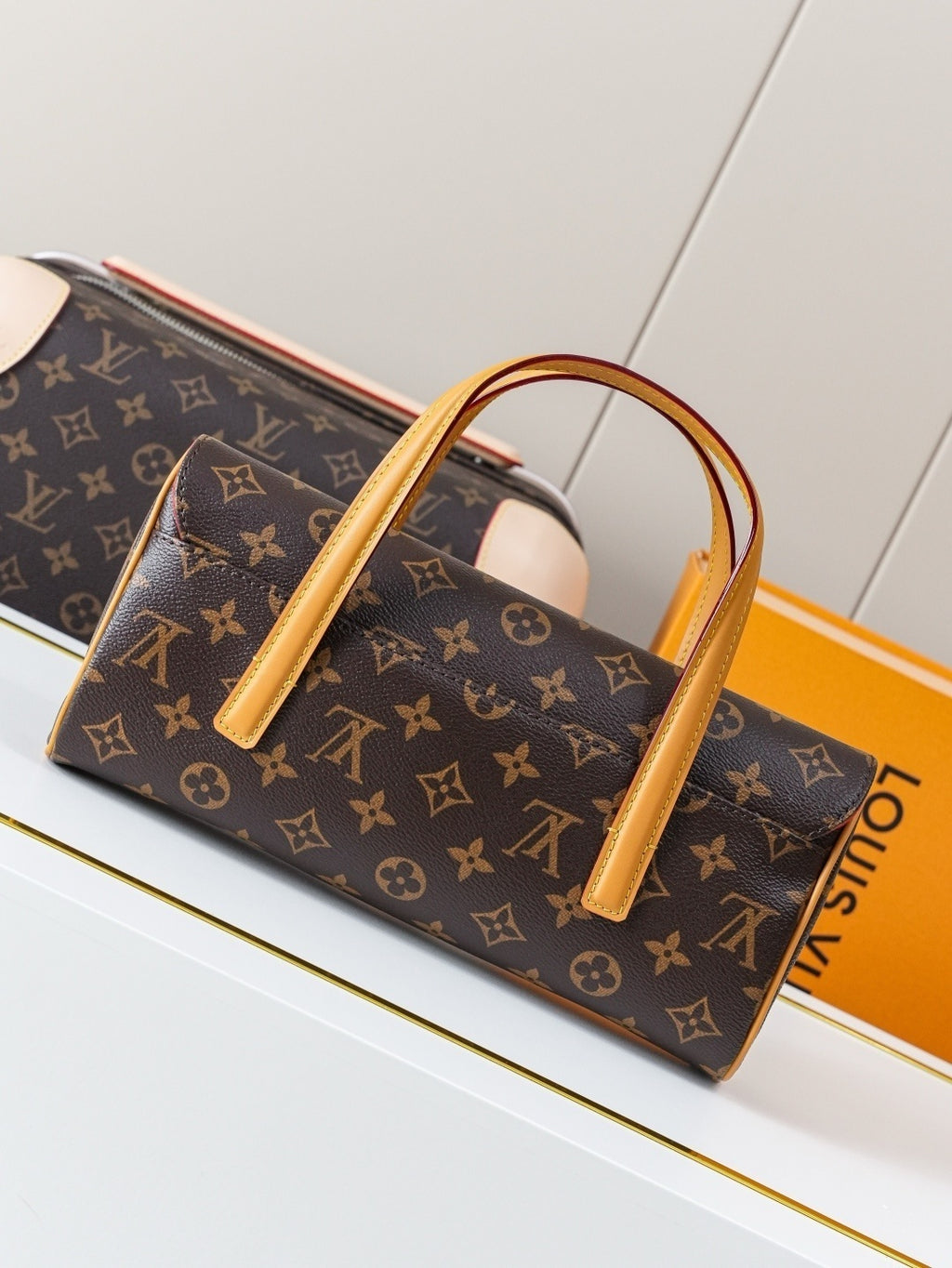 BORSA LOUIS VUITTON - LUXURY
