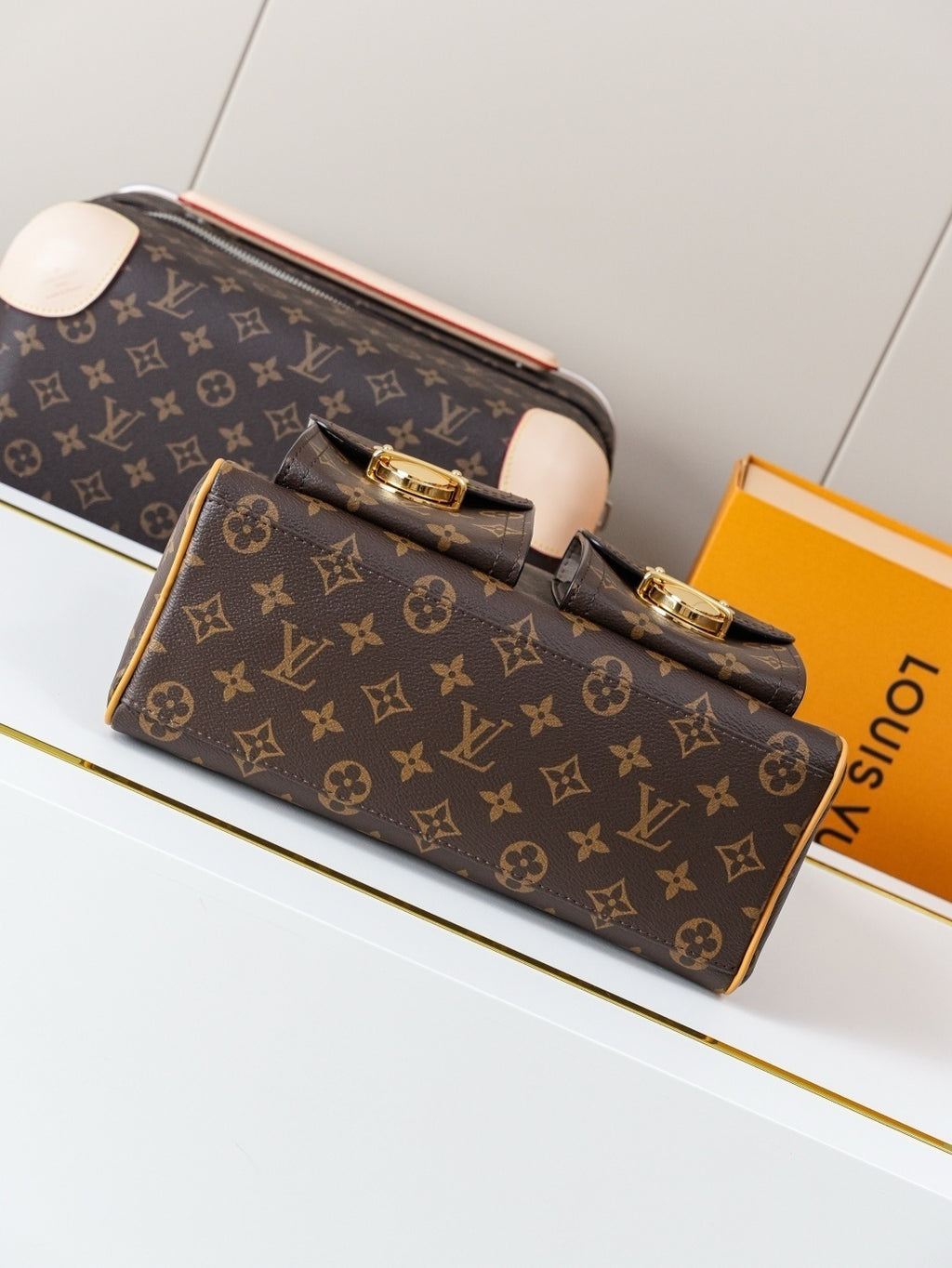 BORSA LOUIS VUITTON - LUXURY