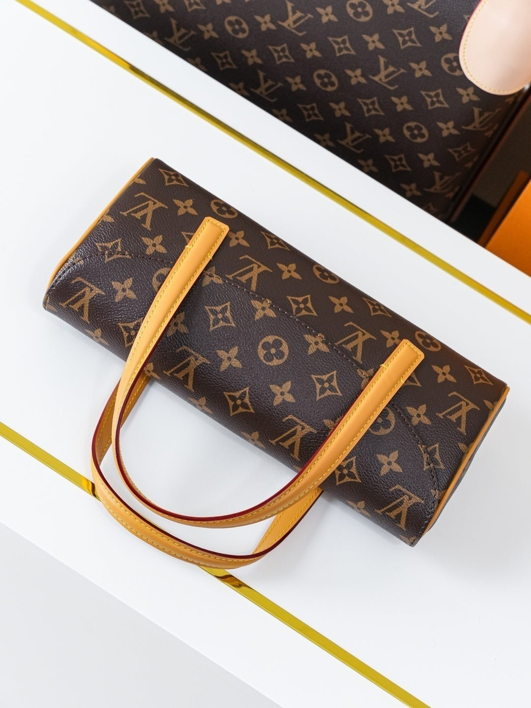BORSA LOUIS VUITTON - LUXURY