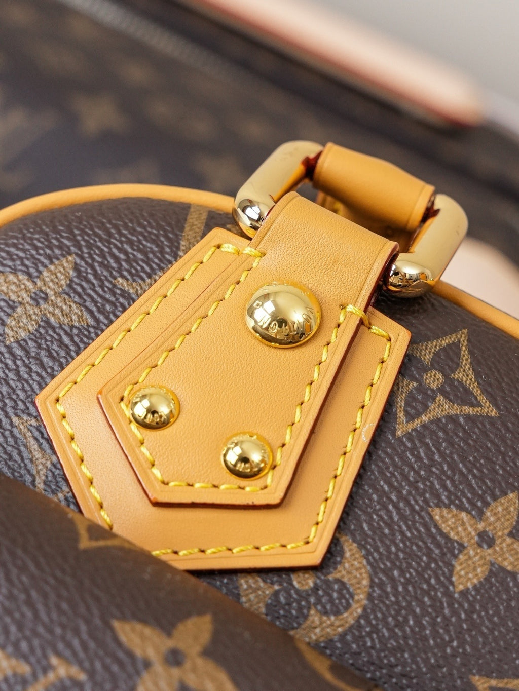 BORSA LOUIS VUITTON - LUXURY