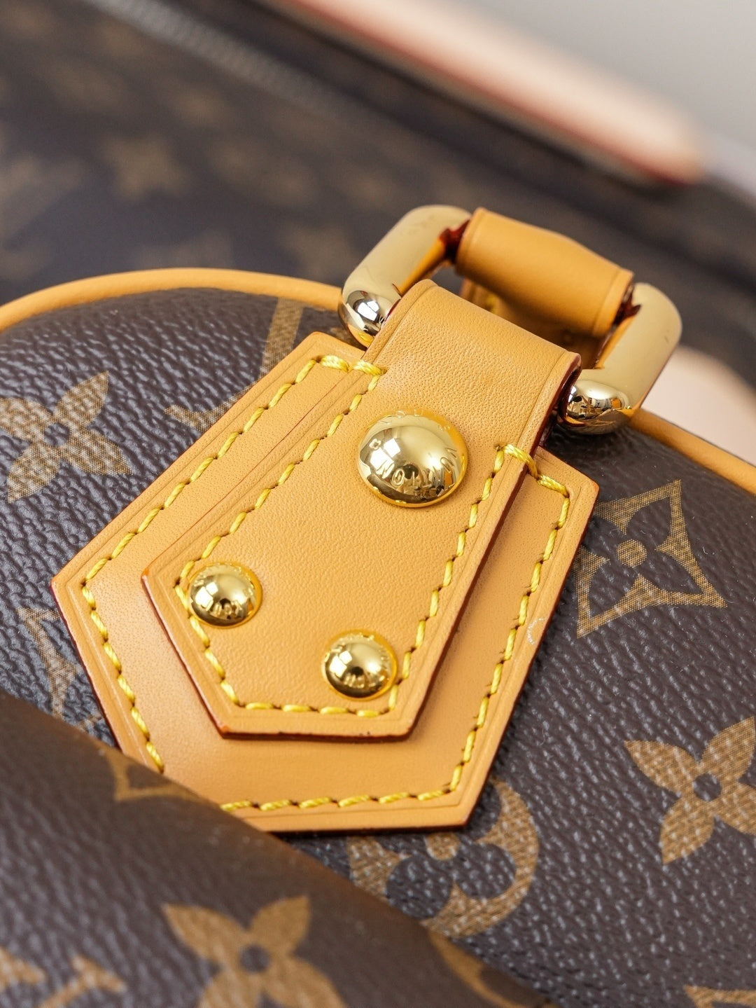 BORSA LOUIS VUITTON - LUXURY