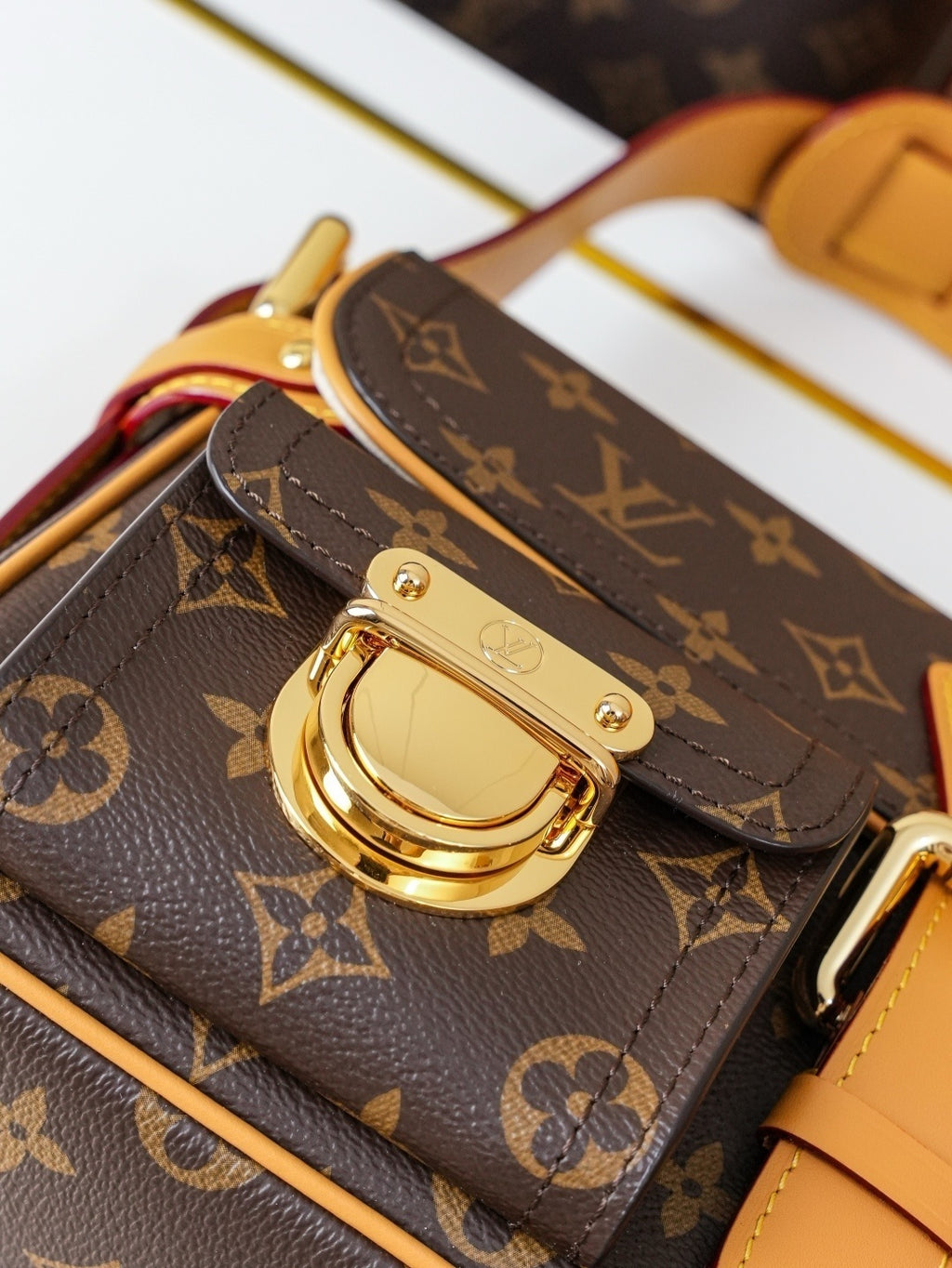 BORSA LOUIS VUITTON - LUXURY