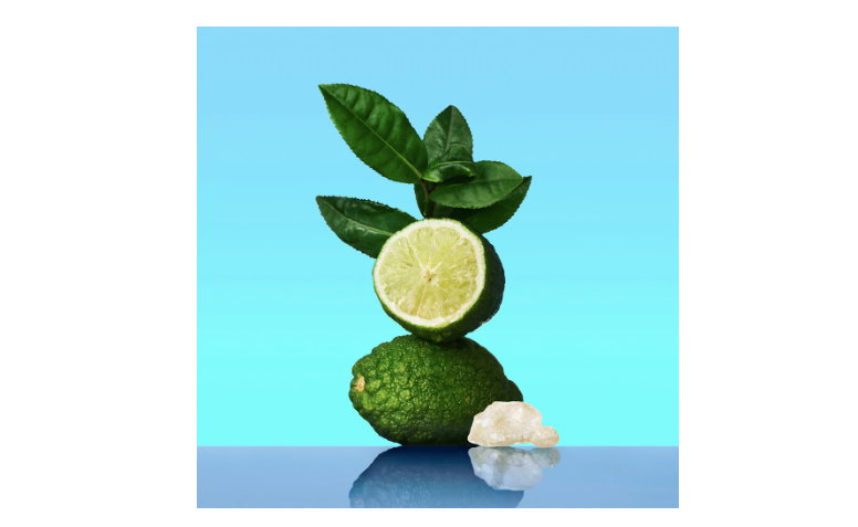 PROFUMO CALVIN KLEIN ONE - 50 ML - BSHOPITALIA